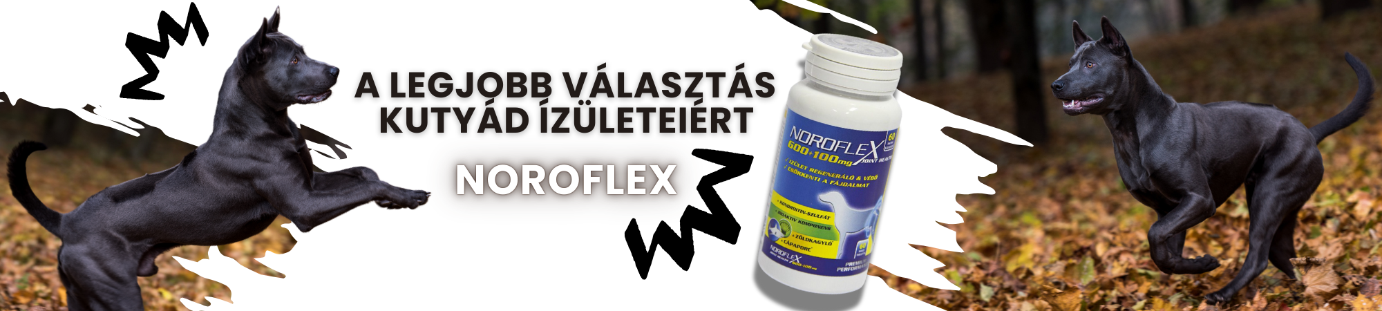 Főoldal 5 noroflex2000x450